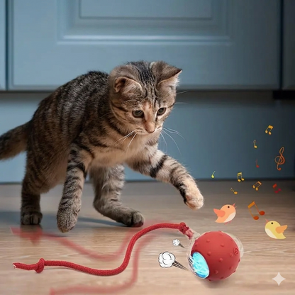 Automatischer beweglicher Katzenball mit Sound