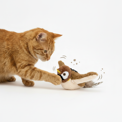 Schluss mit Langeweile: Der interaktive Spatz für glückliche Katzen