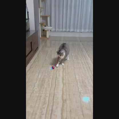 Automatischer beweglicher Katzenball mit Sound