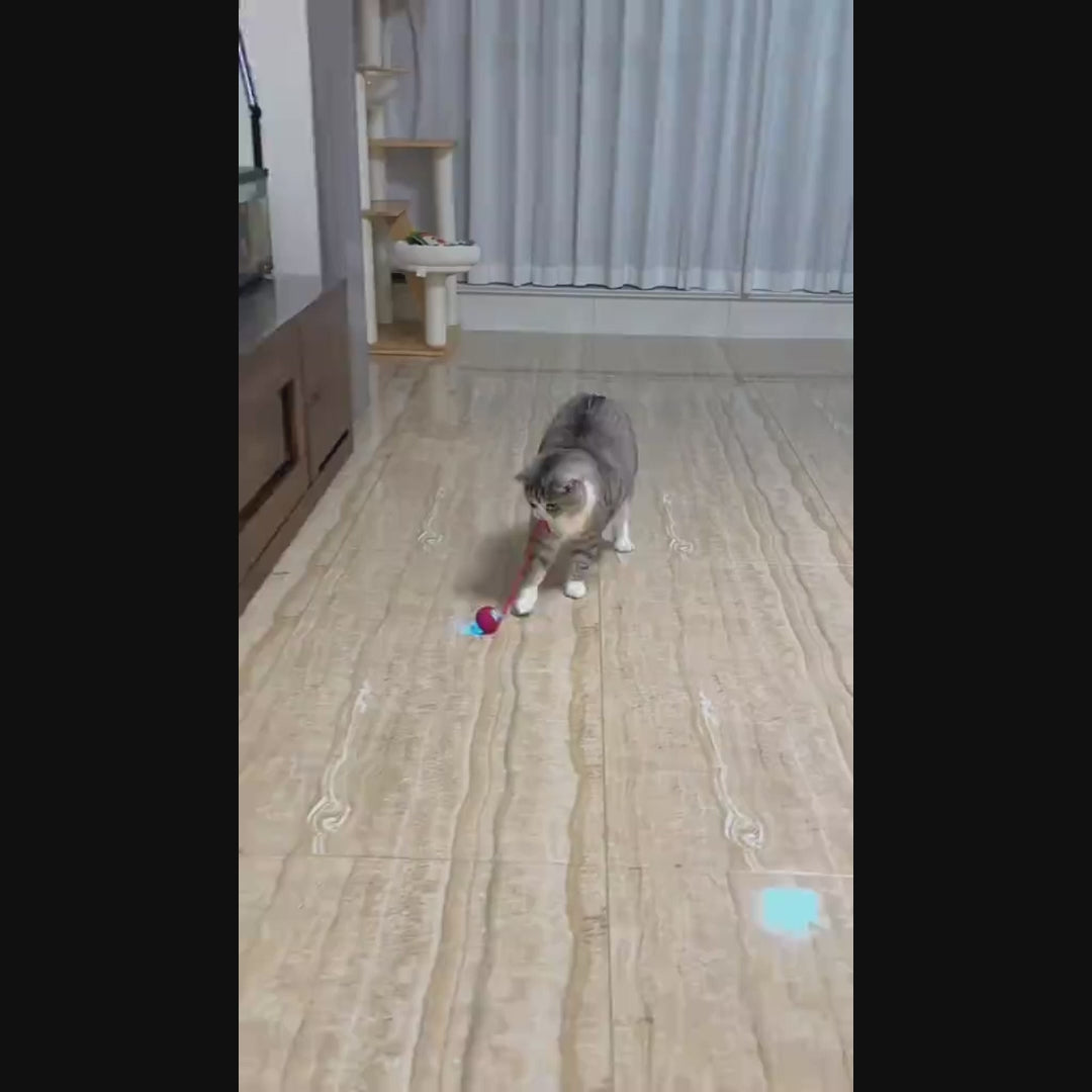 Automatischer beweglicher Katzenball mit Sound