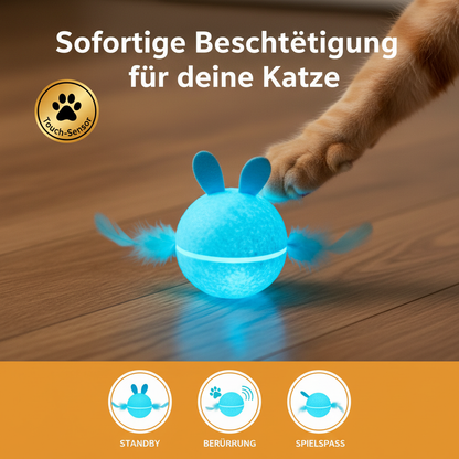 Sofortige Beschäftigung für deine Katze
